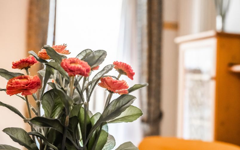 Genziana Chalet Mottolino