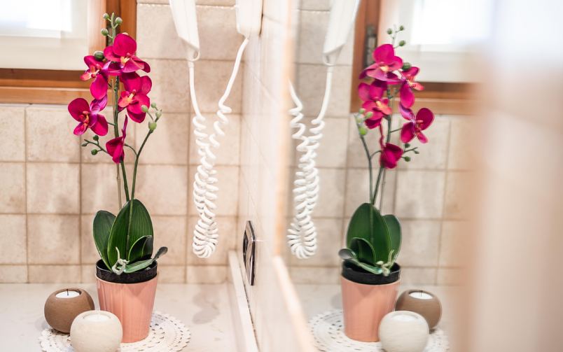 Silene Chalet Mottolino